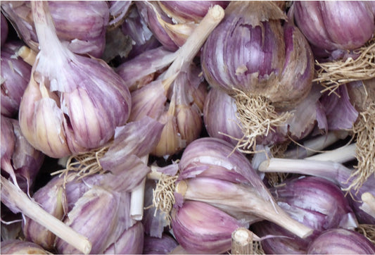 Bio-Knoblauch getrocknet (kg)