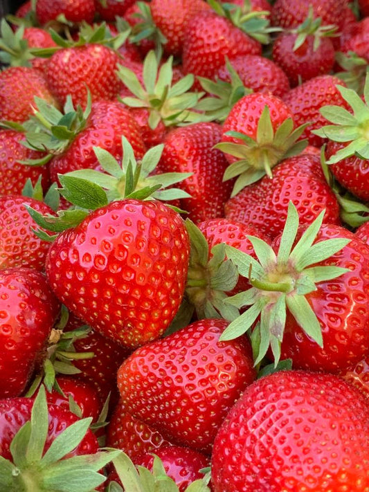 Bio-Erdbeeren - 500g