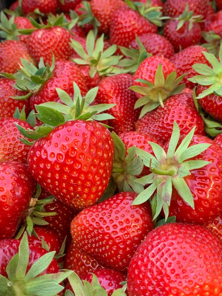 Bio-Erdbeeren (B-Ware) - 1.000g